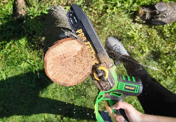 Procraft Pka32li Piła Łańcuchowa Akumulatorowa 20v Bezszczotkowa 2 Prowadnice