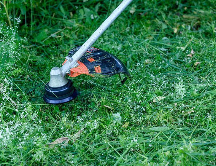 Echo Srm-301tes Kosa Spalinowa High Torque 28,1cm³