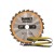 DeWalt DT1956-QZ Piła tarczowa do cięcia drewna 250x30mm