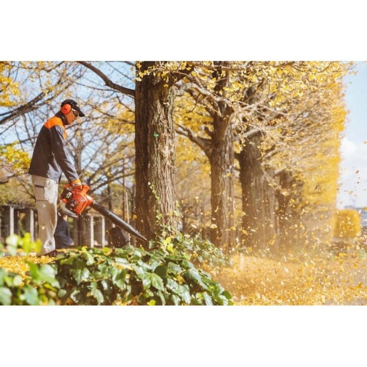 Echo Pb-2620 Dmuchawa Do Liści Spalinowa Dodatkowe Elementy - Japońska